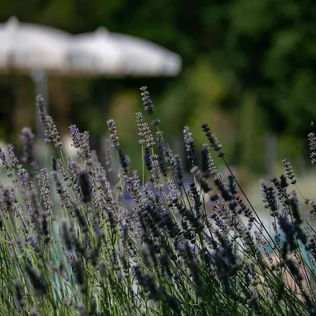 Chic Tuscan With Steam Cortona